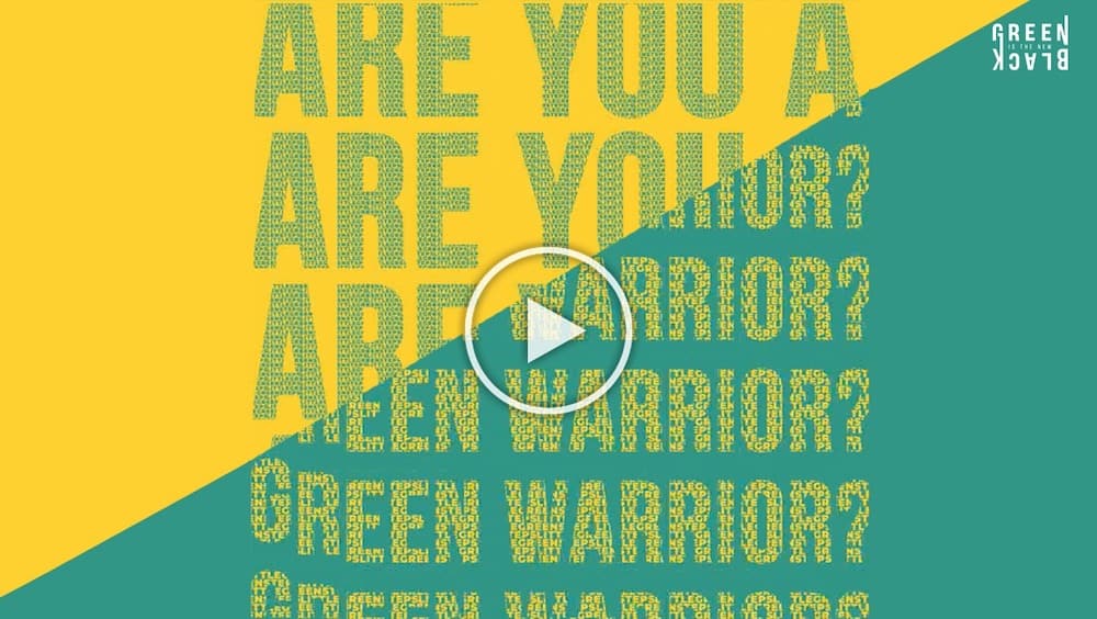 2020 Green Warriors