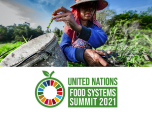 un food systems summit UNFSS