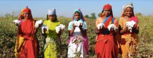 Cotton farming Garment Worker Diaries