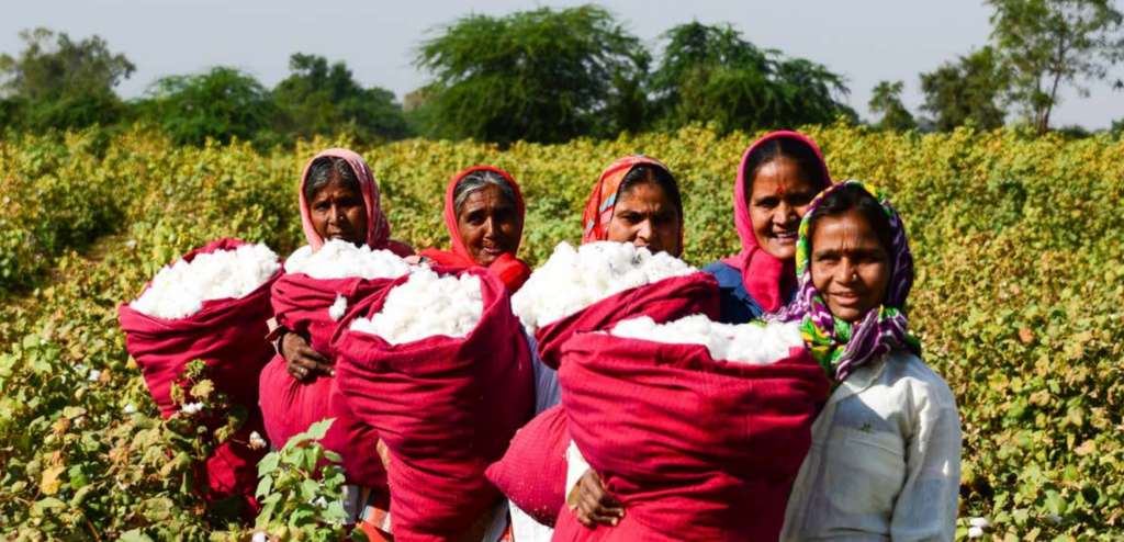 women farmers - gender equality in cotton farming